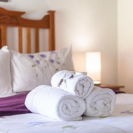 Leo Guest House 罗伯森 外观 照片
